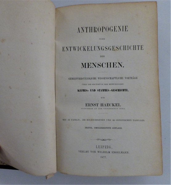 Entwicklungsgeschichte des Menschen