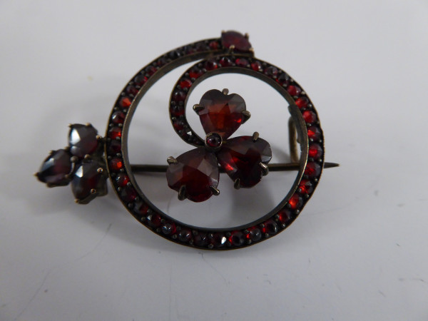 Ungewöhnliche Granat-Anstecknadel