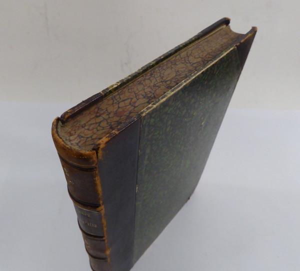 Pathologie und Therapie der Perityphlitis