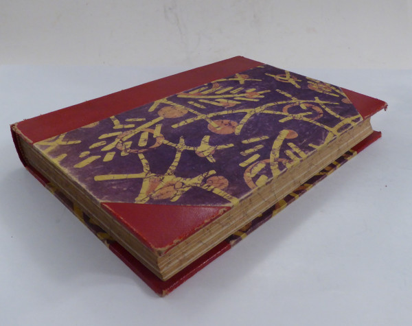 Der Mensch - Werden, sein und vergehen