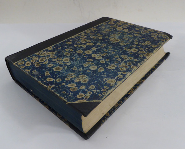 Gehirnkrankheiten I. Band