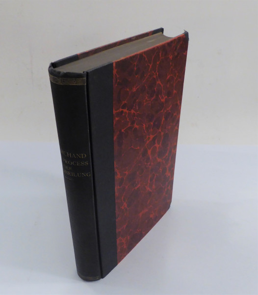 Der Process der Wundheilung 1901