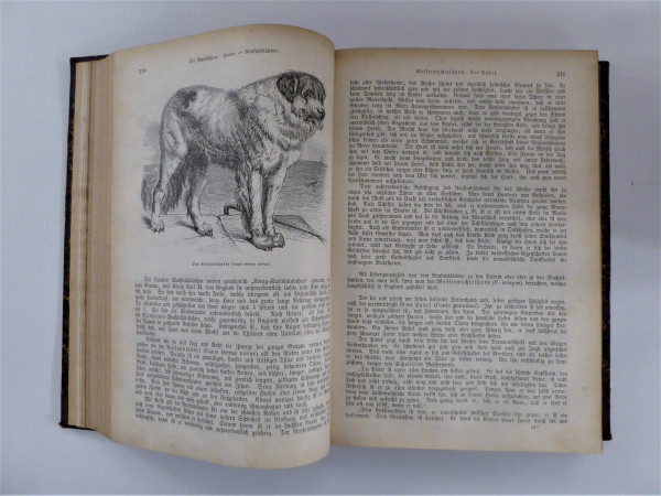 Brehm´s Illustriertes Thierleben - Volks- und Schulausgabe in zwei Bänden
