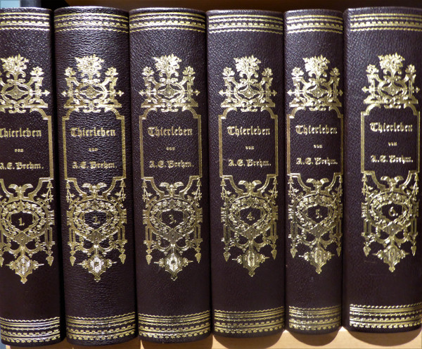 Brehm´s Thierleben Nachdruck der 1. Auflage