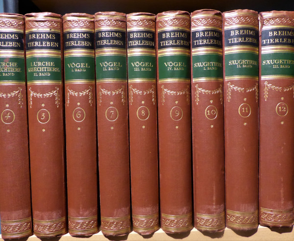 Brehm´s Thierleben 4. Auflage 1925