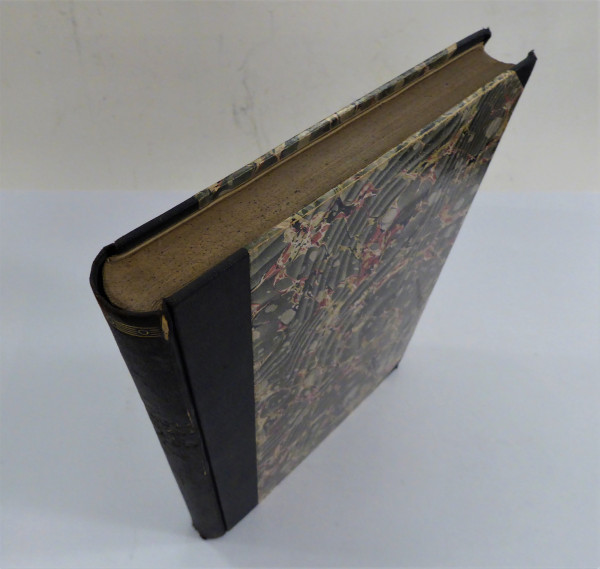 Die Geschwülste des Magens 1921