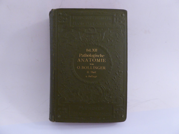 Lehmanns Medicinische Handatlanten Band XII